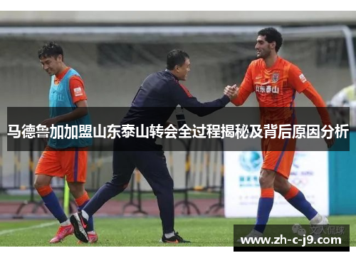 马德鲁加加盟山东泰山转会全过程揭秘及背后原因分析