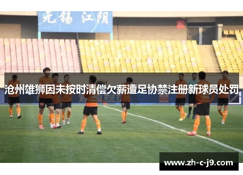 沧州雄狮因未按时清偿欠薪遭足协禁注册新球员处罚 沧州雄狮因未按时清偿欠薪遭足协禁注册新球员处罚