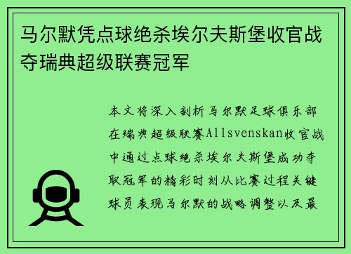 马尔默凭点球绝杀埃尔夫斯堡收官战夺瑞典超级联赛冠军